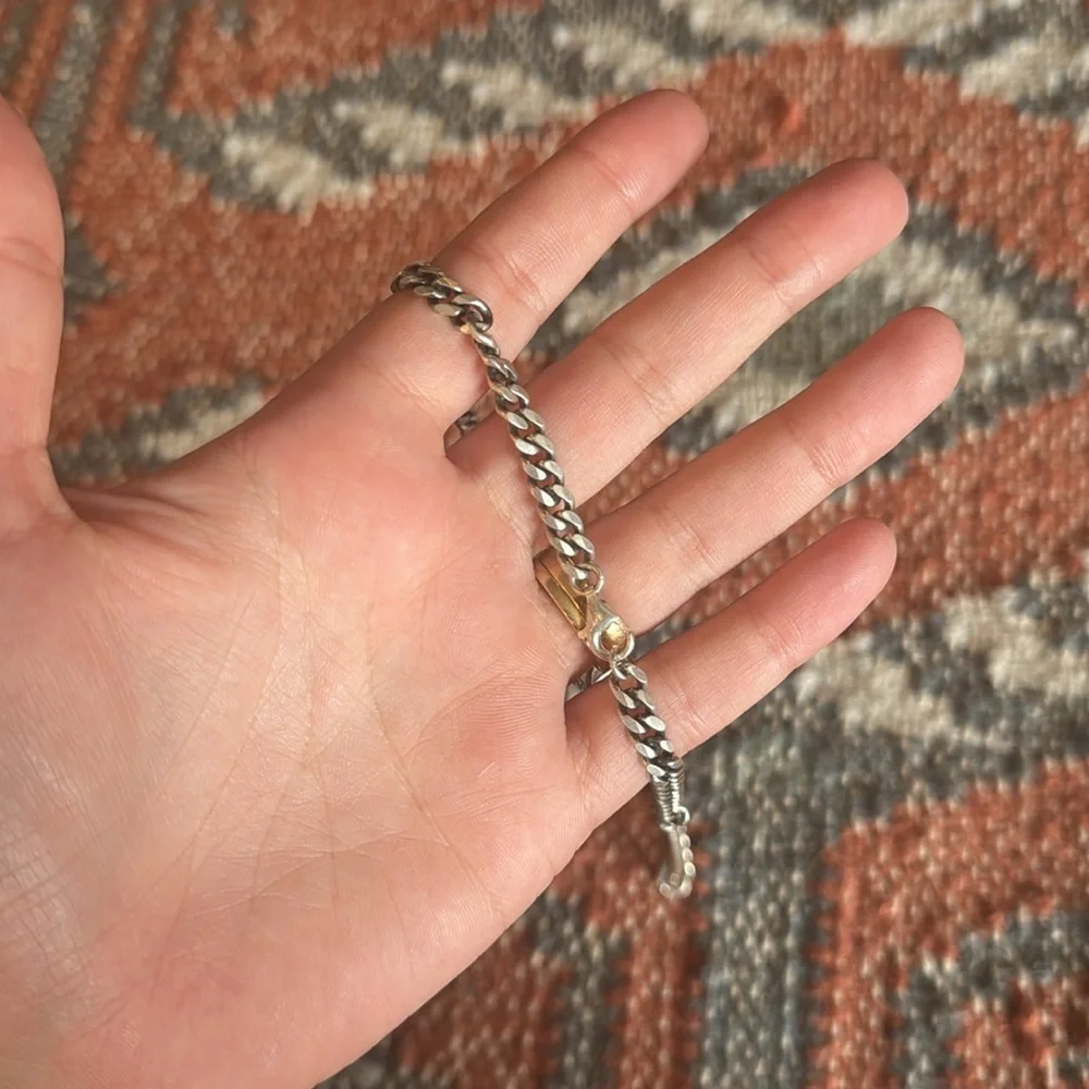 NWOT Serge de Nimes Curb Chain Necklace in Silver